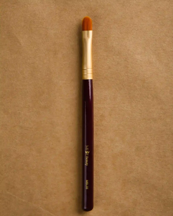 Retractable Lip Brush
